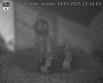 Capi_Dubne_20250719_231003.jpg
