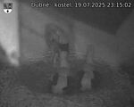 Capi_Dubne_20250719_231502.jpg