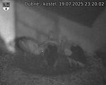 Capi_Dubne_20250719_232002.jpg