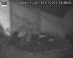 Capi_Dubne_20250719_234002.jpg