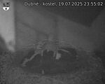 Capi_Dubne_20250719_235502.jpg