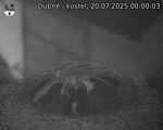 Capi_Dubne_20250720_000003.jpg