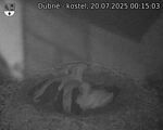 Capi_Dubne_20250720_001503.jpg