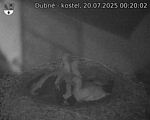 Capi_Dubne_20250720_002002.jpg