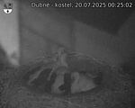 Capi_Dubne_20250720_002503.jpg
