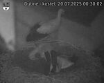 Capi_Dubne_20250720_003002.jpg