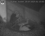 Capi_Dubne_20250720_011503.jpg