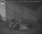 Capi_Dubne_20250720_020003.jpg