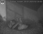 Capi_Dubne_20250720_021002.jpg