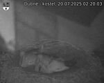 Capi_Dubne_20250720_022003.jpg