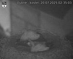 Capi_Dubne_20250720_023503.jpg