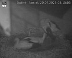 Capi_Dubne_20250720_031503.jpg