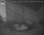 Capi_Dubne_20250720_033002.jpg