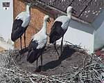 Capi_Dubne_20250720_113003.jpg