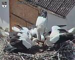 Capi_Dubne_20250720_152502.jpg