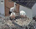 Capi_Dubne_20250720_172004.jpg