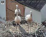 Capi_Dubne_20250720_172503.jpg