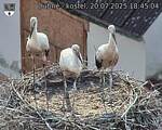 Capi_Dubne_20250720_184504.jpg