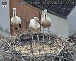 Capi_Dubne_20250720_185504.jpg
