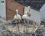 Capi_Dubne_20250720_190003.jpg