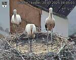 Capi_Dubne_20250720_190503.jpg