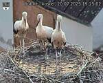 Capi_Dubne_20250720_192502.jpg