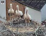 Capi_Dubne_20250720_193004.jpg