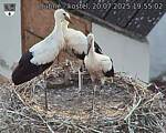 Capi_Dubne_20250720_195502.jpg