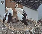 Capi_Dubne_20250720_200004.jpg
