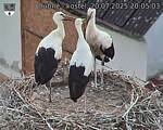 Capi_Dubne_20250720_200503.jpg