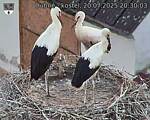 Capi_Dubne_20250720_203003.jpg