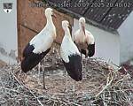Capi_Dubne_20250720_204002.jpg