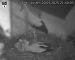 Capi_Dubne_20250720_214003.jpg