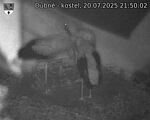 Capi_Dubne_20250720_215002.jpg