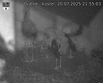 Capi_Dubne_20250720_215503.jpg