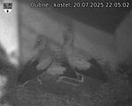 Capi_Dubne_20250720_220502.jpg