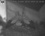Capi_Dubne_20250720_221002.jpg