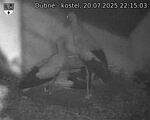 Capi_Dubne_20250720_221503.jpg