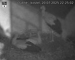 Capi_Dubne_20250720_222502.jpg