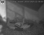 Capi_Dubne_20250720_223003.jpg