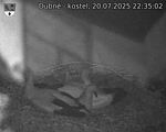 Capi_Dubne_20250720_223502.jpg