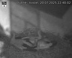 Capi_Dubne_20250720_224002.jpg