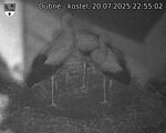 Capi_Dubne_20250720_225502.jpg
