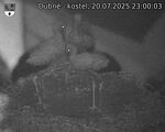 Capi_Dubne_20250720_230003.jpg