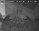 Capi_Dubne_20250720_230502.jpg