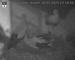Capi_Dubne_20250720_231002.jpg