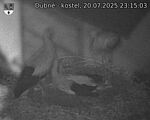Capi_Dubne_20250720_231503.jpg