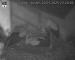 Capi_Dubne_20250720_232002.jpg
