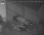 Capi_Dubne_20250721_000003.jpg
