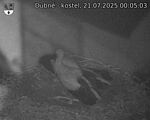 Capi_Dubne_20250721_000503.jpg